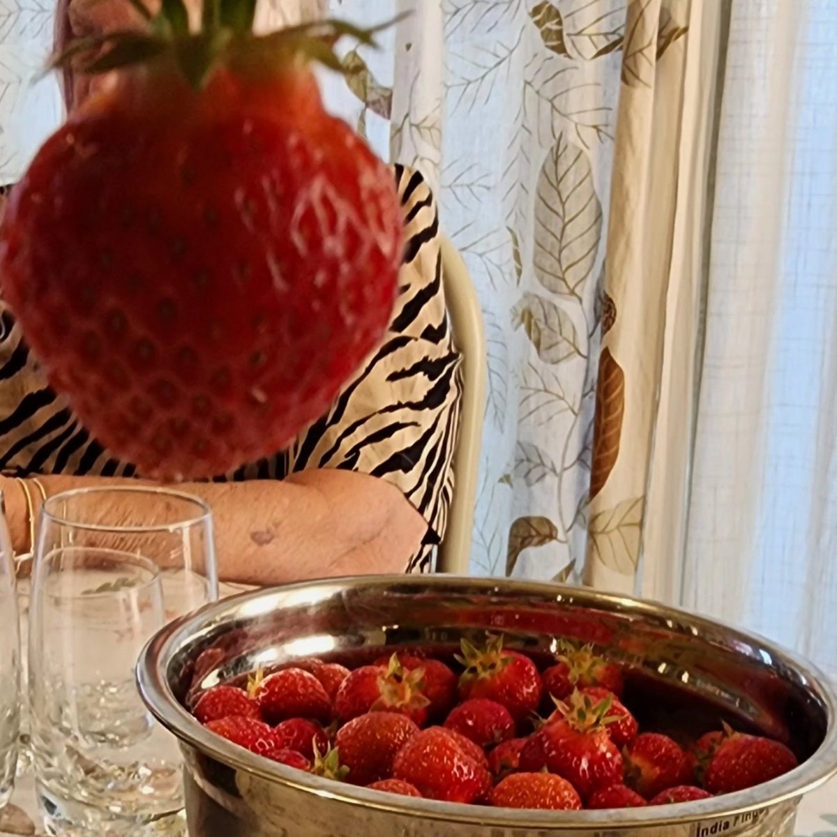 Foster Family Farm tweet media