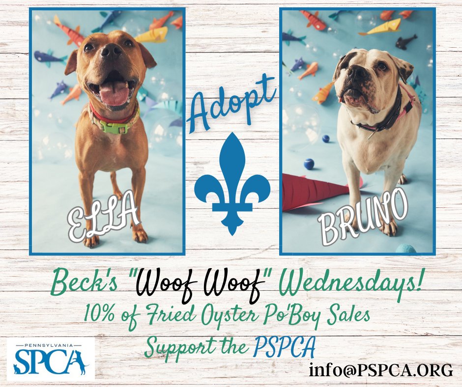 Meet Sweet Ella & Bruno in search of #furever homes!
Tomorrow 10% of #Oyster #PoBoy sales will support their & other pups care at the Pennsylvania SPCA ❤️
@PennsylvaniaSPCA #adoptdontshop #adoptionsaveslives #phillydogs #petadoption #saveadog #rescuedogs #fureverhome