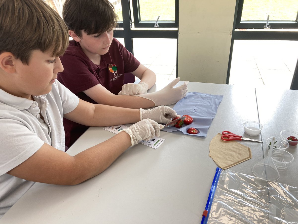 Houldsworth Valley tweet media