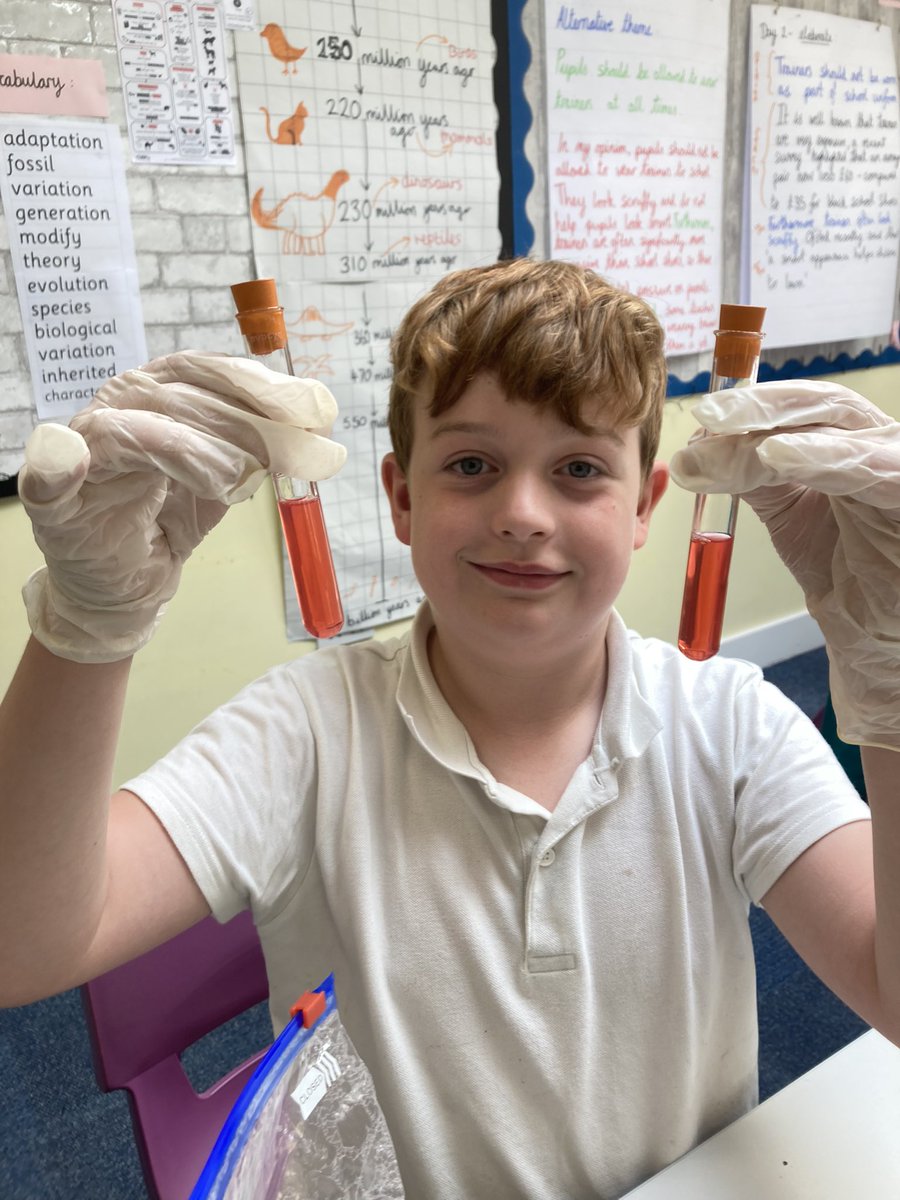 Houldsworth Valley tweet media