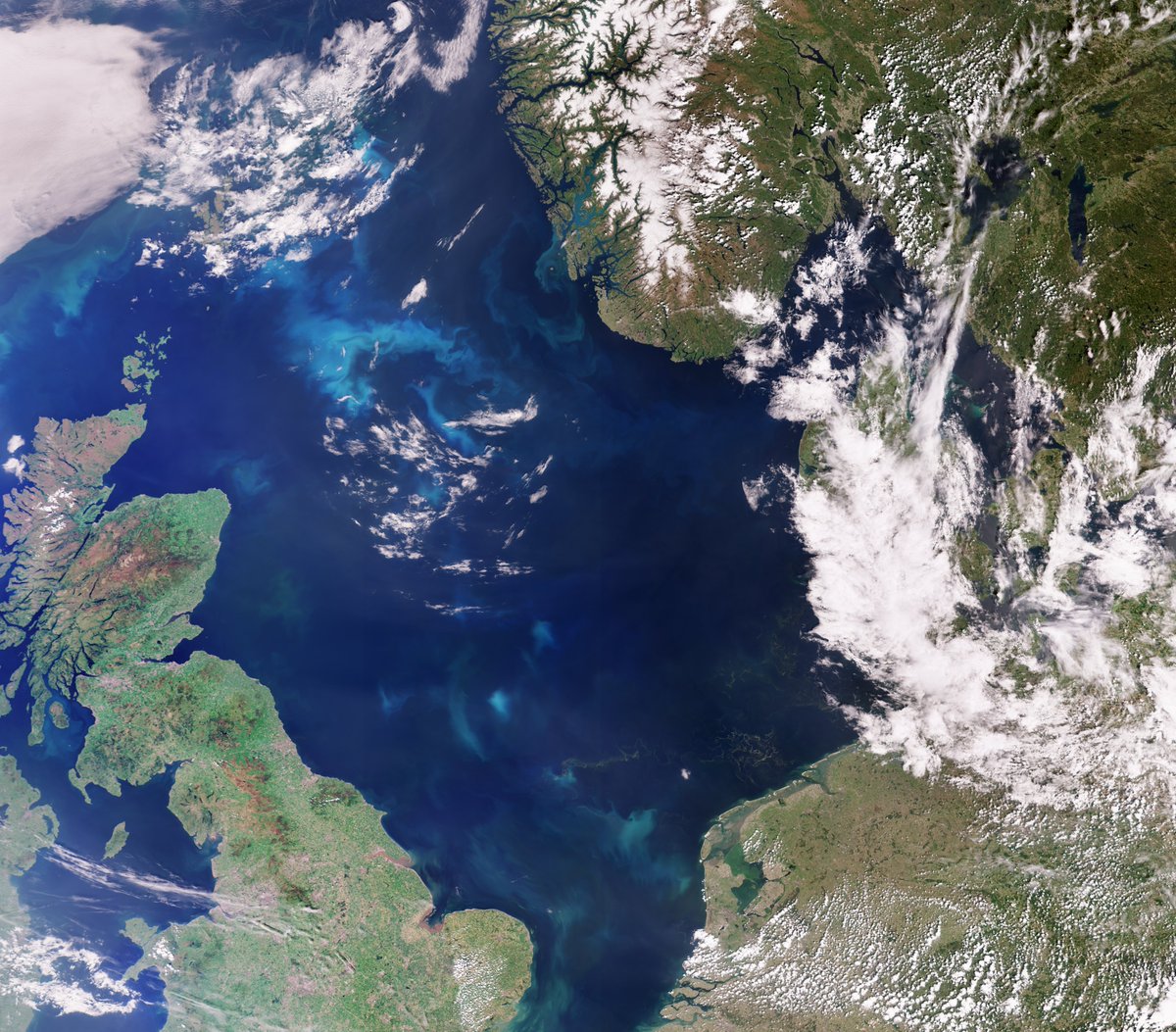 Unusual algal blooms were also captured by @CopernicusEU #Sentinel3. These high temperatures have been associated with a series of extreme heat events, adding to record-breaking wildfires in Canada, heatwaves in China and Siberia, and reduced sea ice extent in the Antarctic.