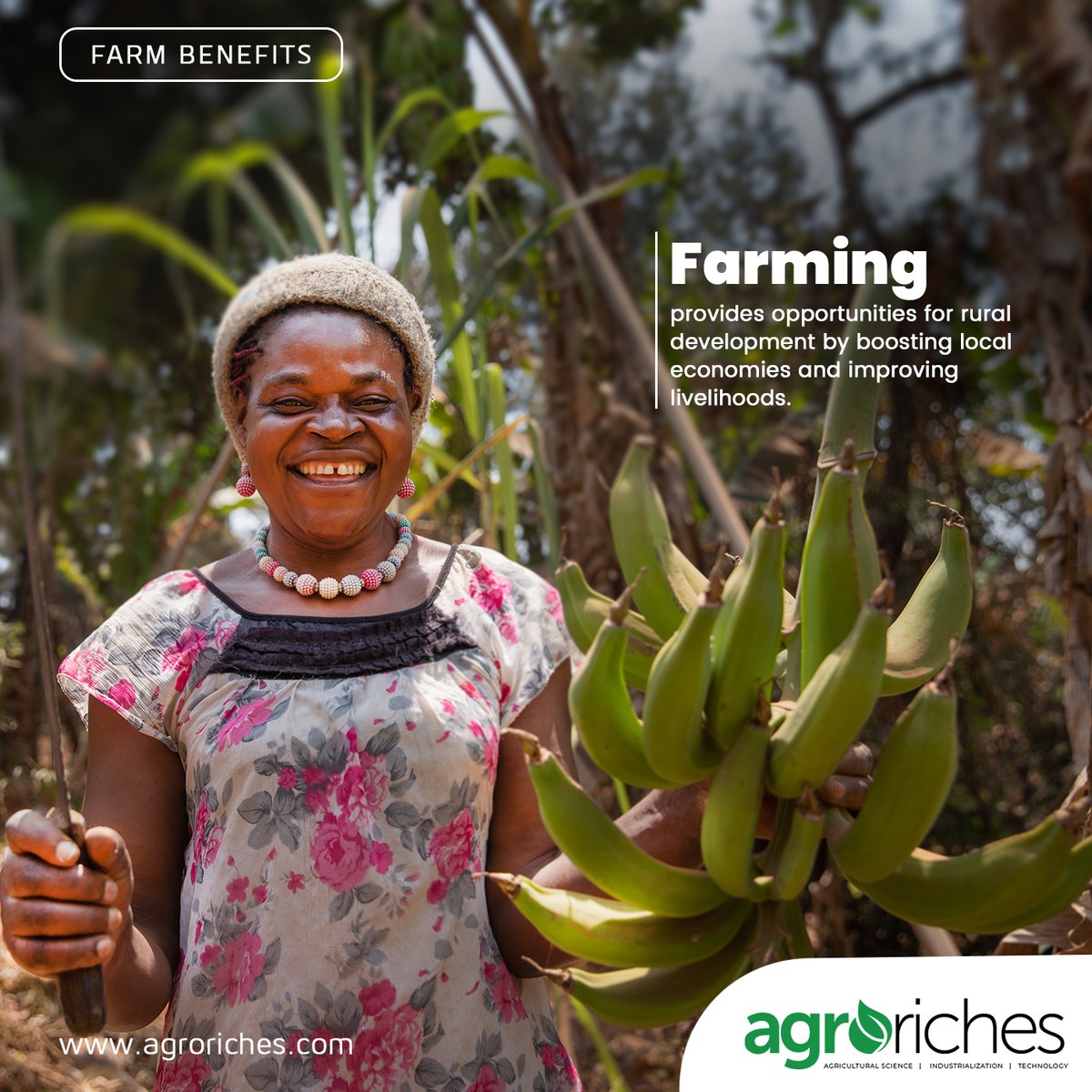 Farming provides opportunities for rural development.

#agroriches #agriculturaltrends #agriculturenews #exploreghana #trendinginghana #biodiversity #ghana #articles #farming #growth #agriculture #wildlife #crops #plants
