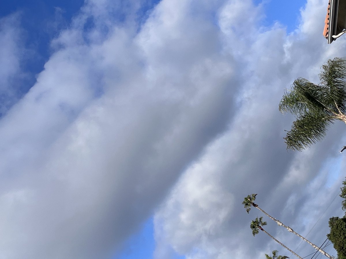 partly cloudy in oceanside 
the sun was out earlier