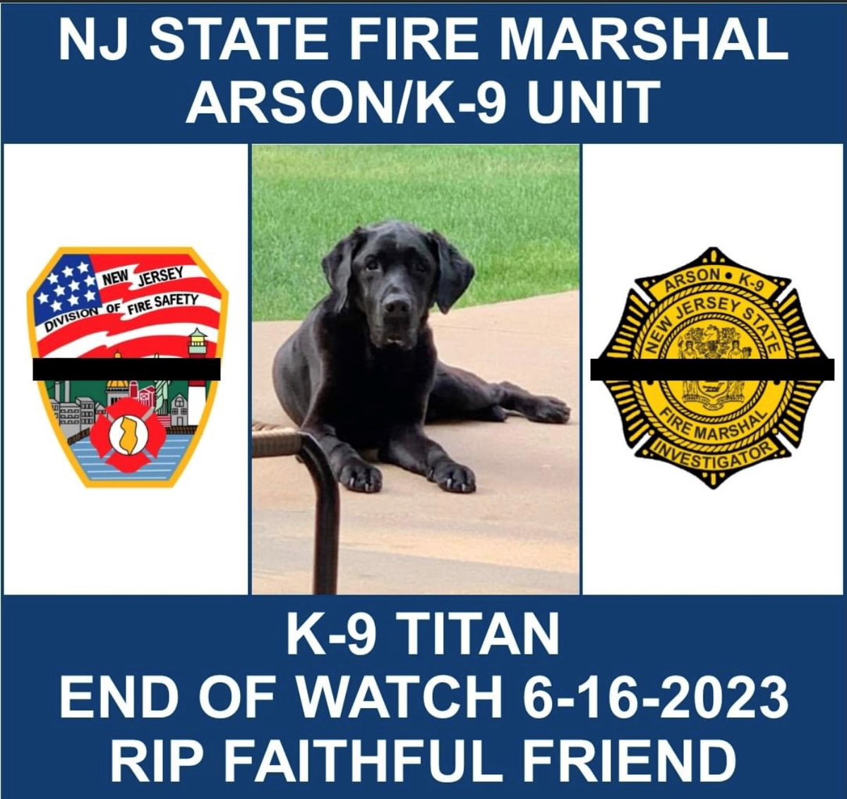 It is with great sadness that we report the passing of K9 Titan, Division of Fire Safety team. He was Captain Stephen Letts beloved partner &amp; he truly made a positive impact upon the state’s fire service, law enforcement, and citizens. RIP faithful partner - 6/5/12 to 6/16/23.