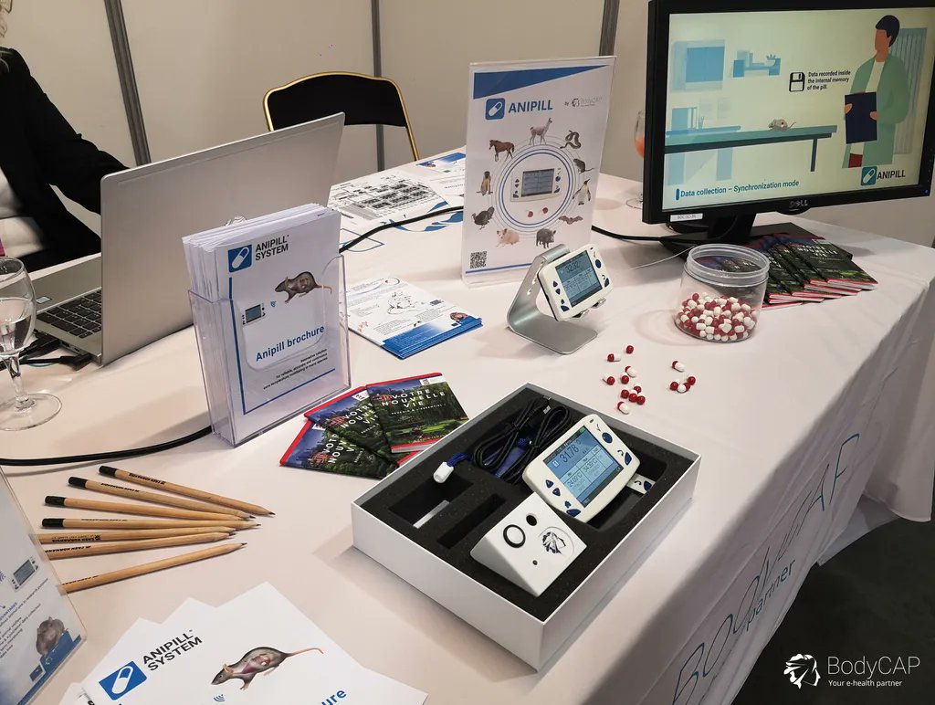 Anipill 💊 tweet media