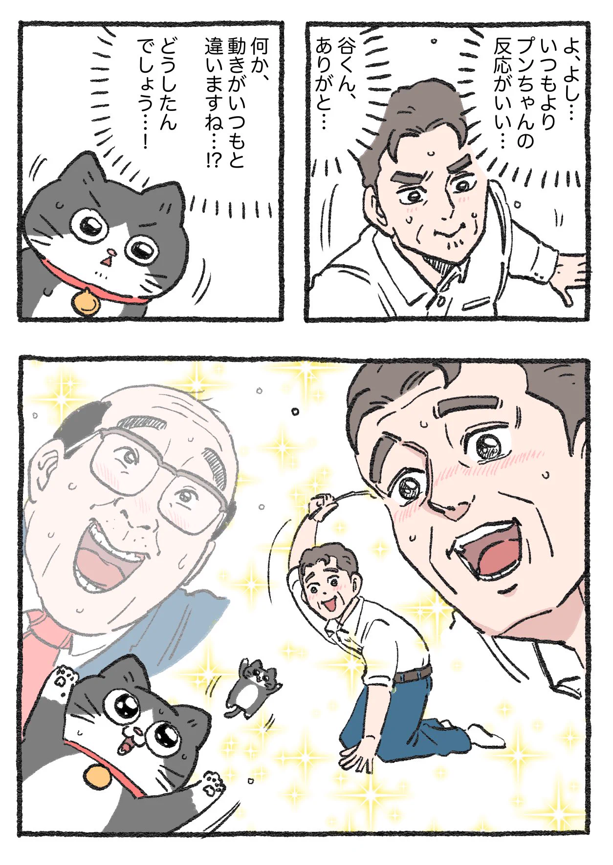 「ねこ転」その136が公開！谷さんに学ぶ「ねこじゃらしの遊び方」とは！？