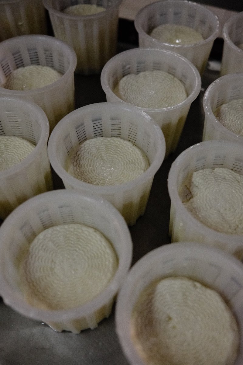 Laura Kidd 💌 Penfriend tweet media