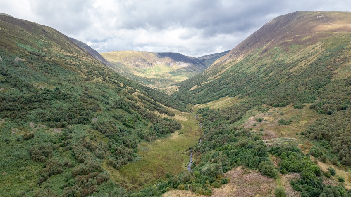 We are looking for a Wild Heart Site Manager to be part of the ongoing story at Carrifran and the recovery of woodland and upland habitats across all our sites. 

Apply here: bordersforesttrust.org/about-us/jobs

Please share with anyone who might be interested.

📷 Colin MacLean Photography