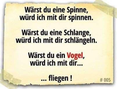schwarzunddirty's tweet photo. #instagram #instagramdailypost #instagramdaily #deutschememes #dailyinstagrampost #dailymemes #dailyinstagram #deutsch #schwarzerhumor #memes #memesdaily #memesdeutsch #memes #meme #lustigesbild #lustigesvideo #lustig #witzigesbild #witzigesvideo #witzig #zumtodlachen #Twitter https://t.co/wF859UNpKk
