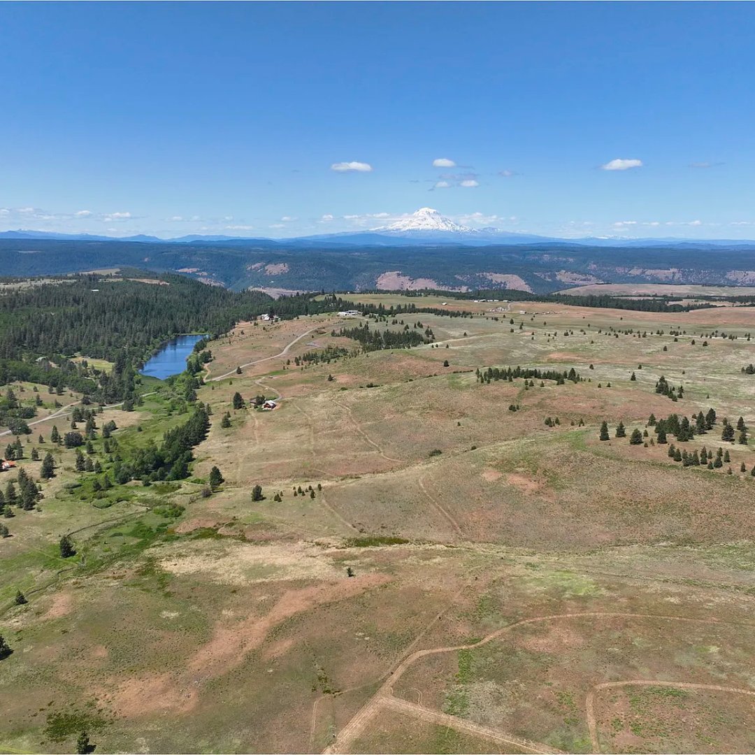 DiscoverNWre's tweet image. A 9.83-acre #buildable lot just outside of #LyleWA, just listed! This beautiful lot features quintessential #highprairie vistas and a Double Mountain View of #MtHood and #MtAdams. Contact Jared Ritz at 360-612-2079 for more info!
#UnitedCountry #UCRE #UCRENorthwest #WashingtonRE