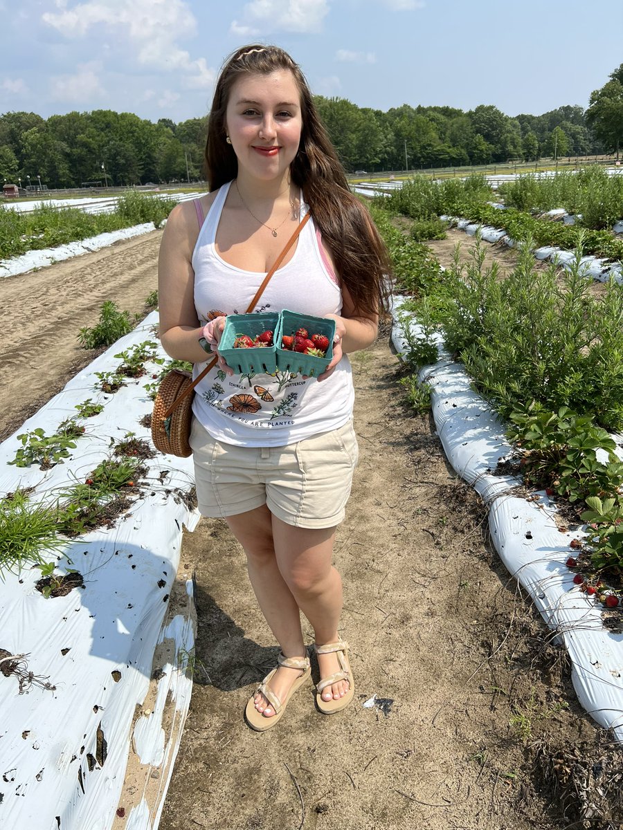 GreenifyM's tweet image. Went to a #upickfarm this weekend and loved #strawberrypicking so much! The flavor is unreal and I loved how they gave us #plasticfree cartons and containers for this. 🍓✨ #zerowaste