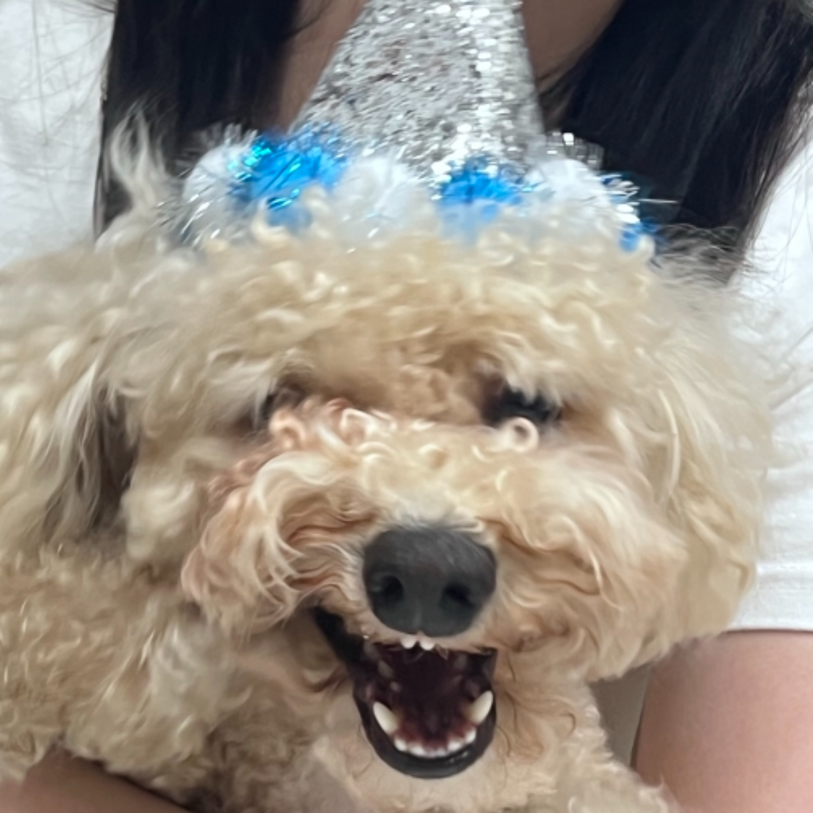 gointofabbit's tweet photo. 230620 23:41 KST - 🐟 [Profile] https://t.co/agB1rr8NXG