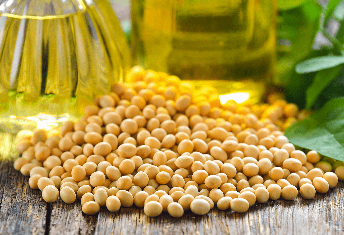 btramsnews's tweet photo. Hey there! I've got some exciting news on the soybean front. Brace yourself for the latest updates on China's soybean imports from Brazil, because it's been quite a wild ride. #attractiveprices #bountifulcrops #Brazil
https://t.co/1f1wY5vtog https://t.co/qDBaz3jUnm