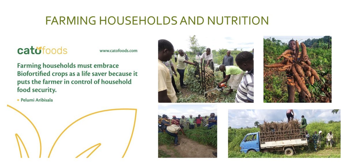 Atinuke Lebile (@Cutefarmer01) of @catofoodsNG shares their important work with farmers, women and youth and the needed use of biofortification for their crops during the @ScalingUpCoP webinar. #ScalingForImpact #ScalingCoP
