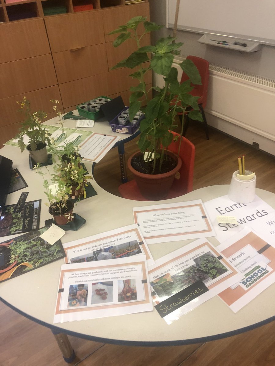 StPeterslovesSc's tweet photo. It was brilliant to see so many families at the Science fair - thanks for coming and thank you to all the children who took part. The projects are brilliant! https://t.co/UmARTsBcBP