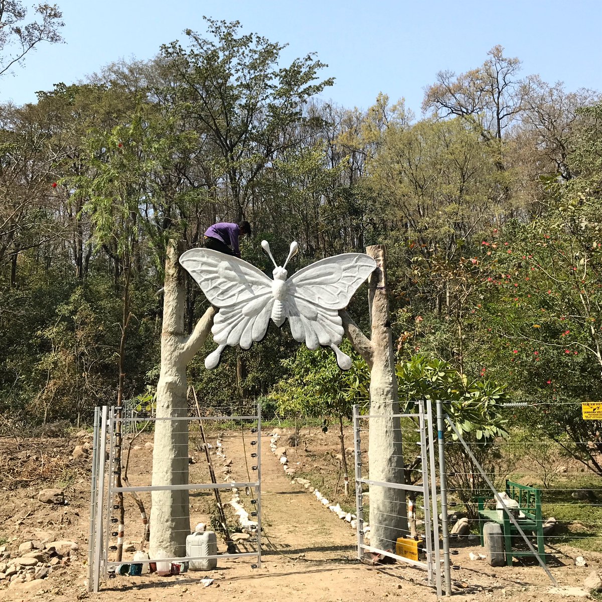 Butterfly themed gate designed for Uttarakhand forest department by us🦋@ukfd_official @rameshpandeyifs @AnkitKumar_IFS @Ifs_harshraj @pargaien @vivek4wild @wii_india @cwsindia @WCT_India @WildlifeMag @savebutterflies @Bfoundation