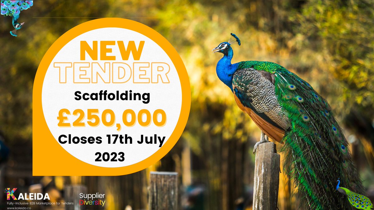 Can your business solve for this scaffolding tender opportunity?
Visit Kaleida.co 

#uksmallbusiness #uksmallbusinesses #smallbusinessuk #b2bsales #b2bcontent #business2business #procurement #uksmallbiz #supplychains #businessdirectory #smeuk #Coventry