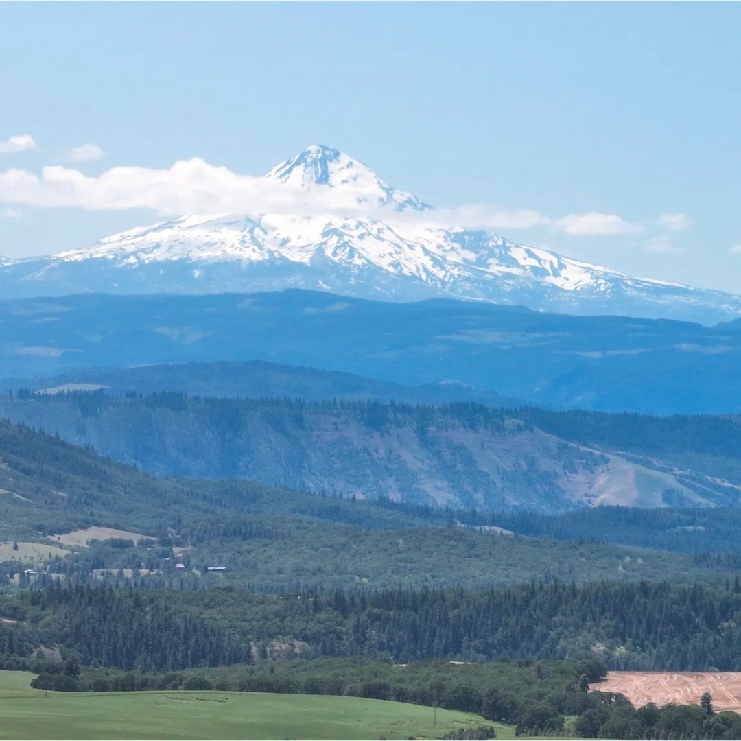 DiscoverNWre's tweet image. A 9.83-acre #buildable lot just outside of #LyleWA, just listed! This beautiful lot features quintessential #highprairie vistas and a Double Mountain View of #MtHood and #MtAdams. Contact Jared Ritz at 360-612-2079 for more info!
#UnitedCountry #UCRE #UCRENorthwest #WashingtonRE
