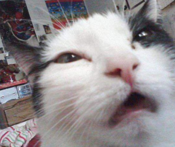 AdonMadeon's tweet image. Show me your, &quot;Holy shamoley, people enjoy this trash?!&quot; face. #WritingCommnunity