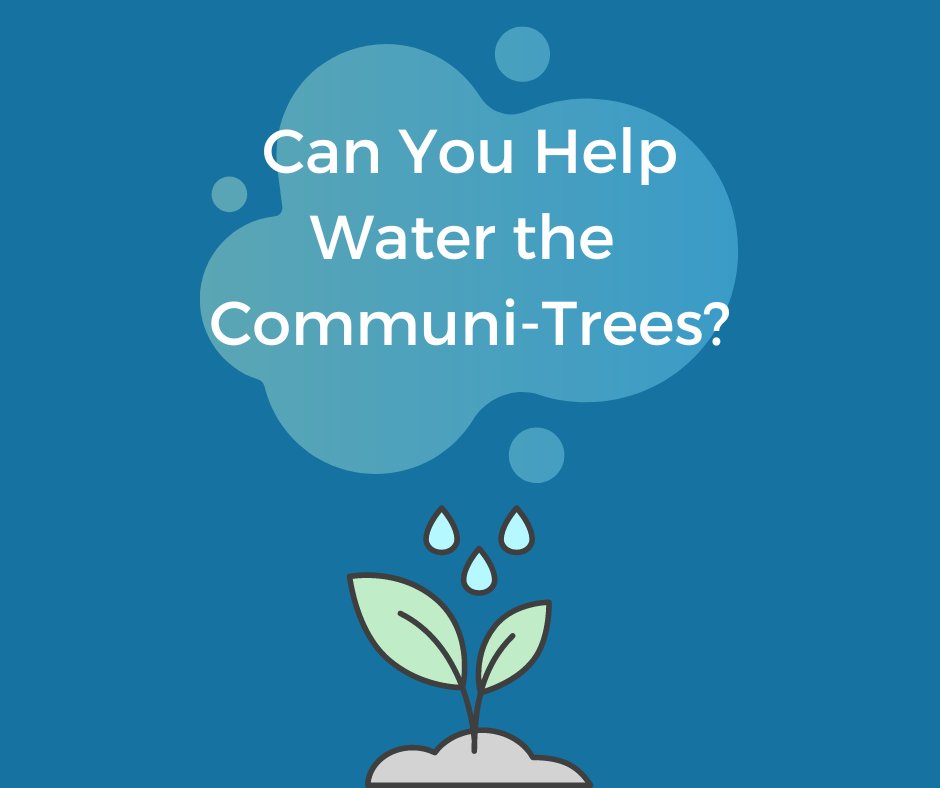 If you live near a Communi-Tree, could you help water it during dry weather? Regular watering will help these young trees to survive and establish. You could use a bowl of used washing up water, so it won't add to your water bills! #treeplanting #trees