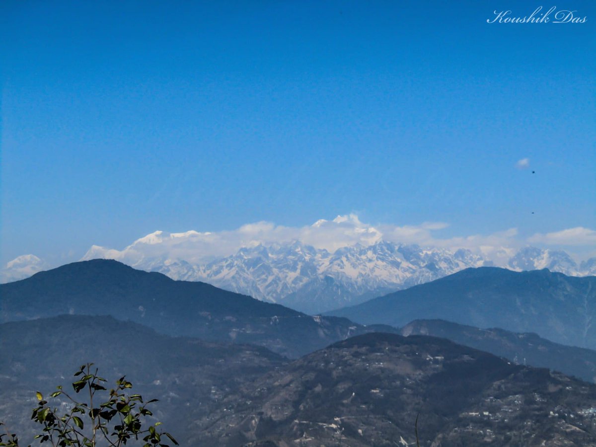 From archive #Himalaya #birdwatching #ThePhotoHour #photography #Nature #IndiAves