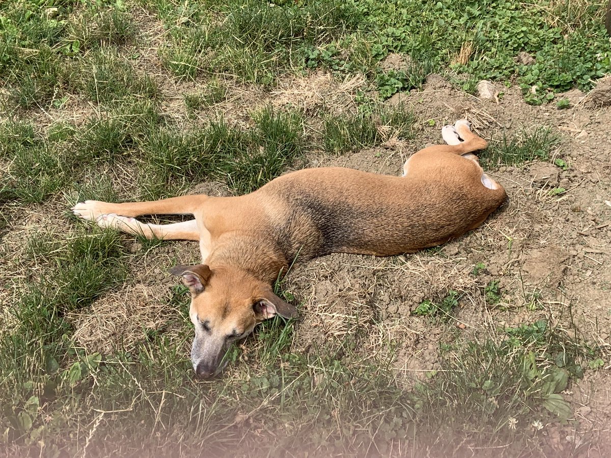 a girl who knows how to look like roadkill no matter where she goes