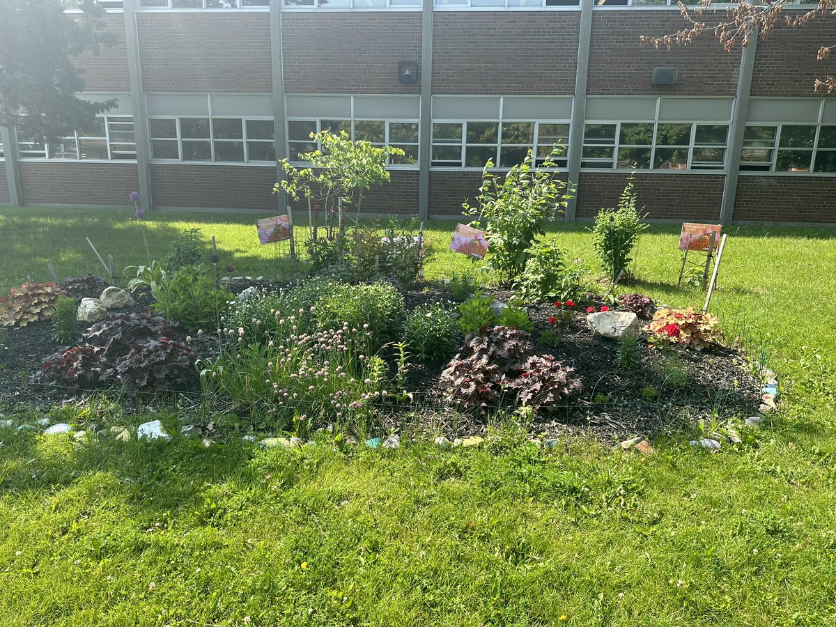 Markus4Ward2's tweet photo. The beautiful @PollinateTO gardens @transfigtcdsb https://t.co/aPkcq4KT5z