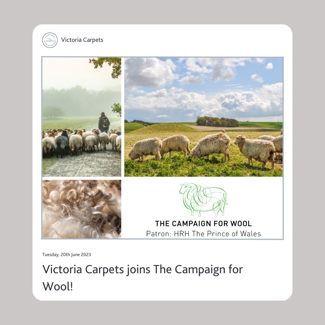 We are very excited to announce that we are proud supporters of @campaignforwool

The Campaign for Wool aims to educate as many people as possible on the incredible benefits and versatility of wool.

Head on over to their website below!
campaignforwool.org

#CampaignforWool