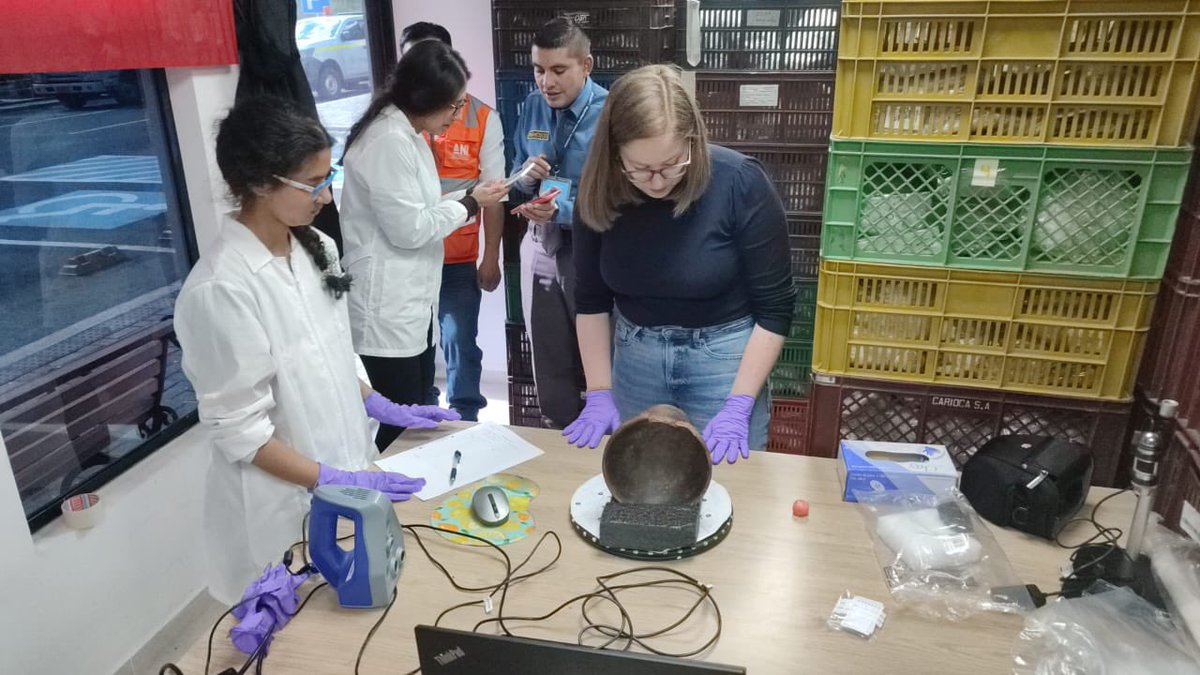 The REVERSEACTION Project tweet media