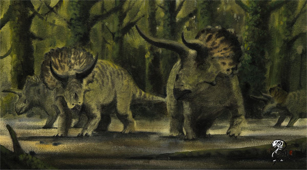 Prehistoric planet reconstruction    
Triceratops
 Tools: Watercolor