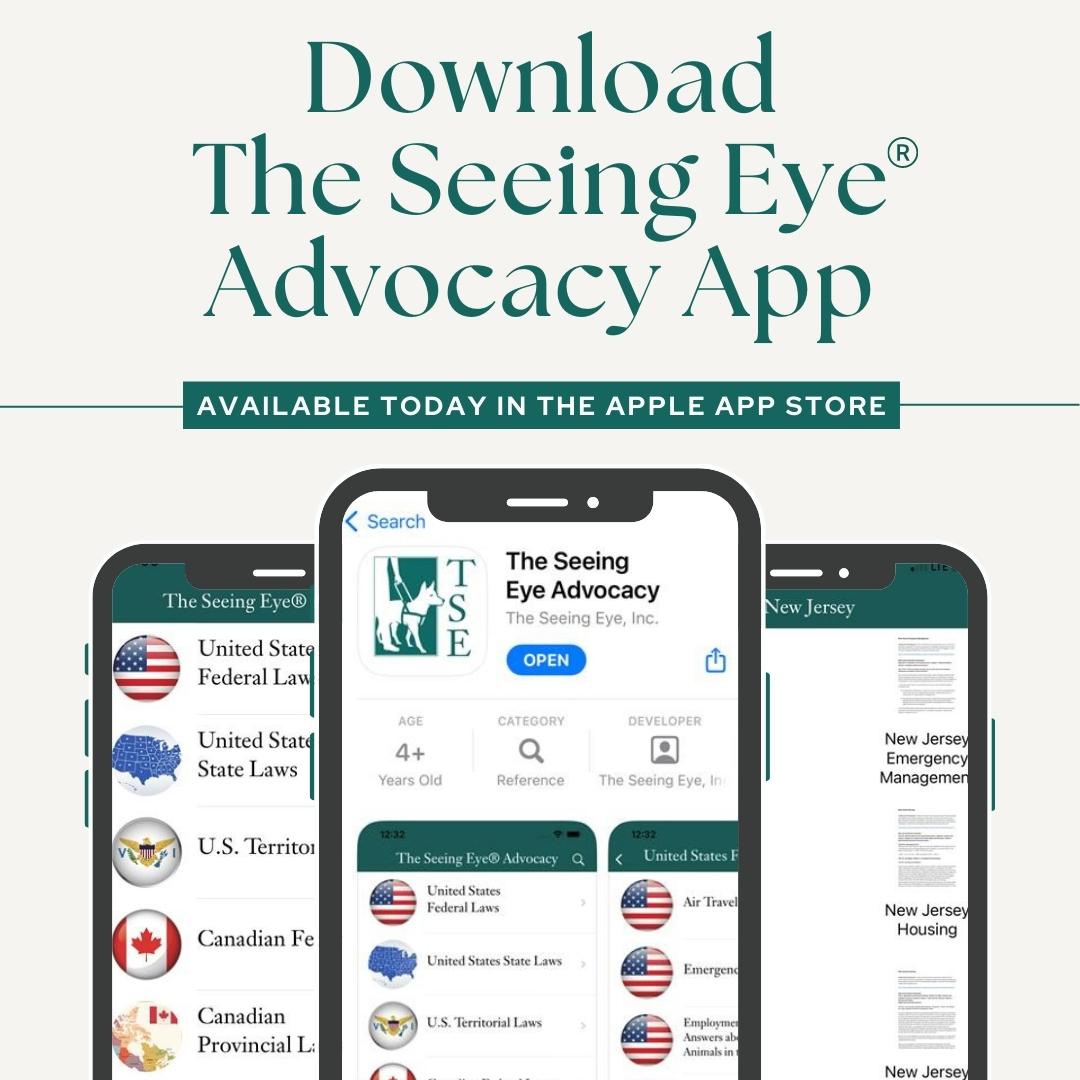 The Seeing Eye tweet media