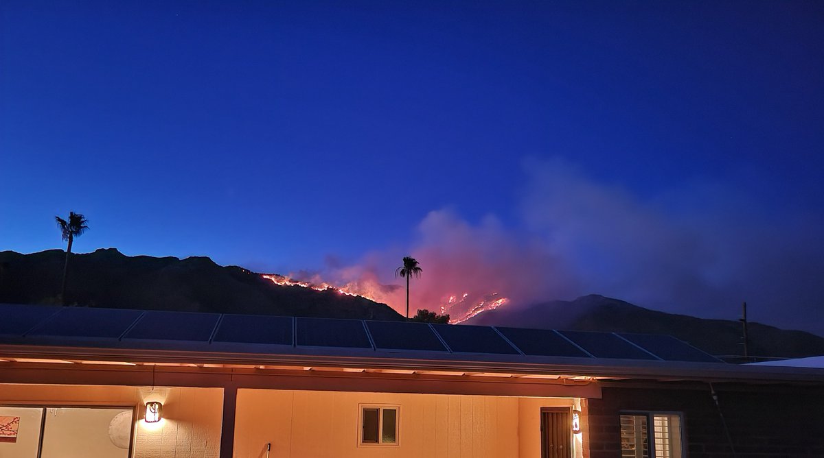 Thomas Beatty tweet media