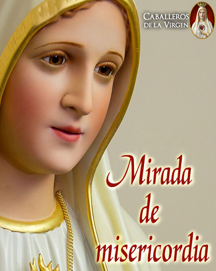Cab_Virgen's tweet photo. María, Madre de misericordia y esperanza nuestra, enséñanos a ir continuamente a Jesús y, si caemos, ayúdanos a levantarnos de nuevo y volver a Él.
Amén. https://t.co/fIAs9xReKB