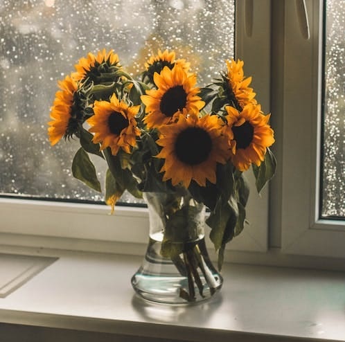 Hoy se celebra el “día más feliz del año”, por aquello de la llegada del verano y el solsticio. Lo representa el color amarillo...Así que nosotros, vamos a ponerle girasoles a la jornada, pero con un poco de lluvia en la ventana…a ver si se nos refrescan los sueños!!!🙃