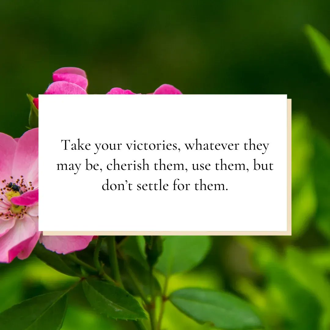 Every victory, no matter how big or small, holds the power to inspire, uplift, and transform. Embrace them with gratitude, and let them fuel your spirit. But don't settle for past triumphs; instead, let them be stepping stones towards even greater accomplishments. #KeepGoing