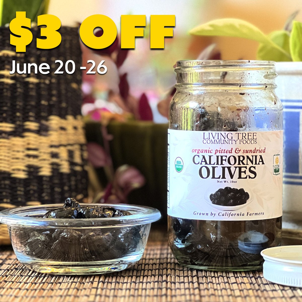 livingtree's tweet photo. $3 off this week! Sale ends June 26th!
Our California grown organic pitted black olives are a tasty addition to salads. Cured in salt and then sundried and rolled in extra virgin olive oil.
https://t.co/3gvuJK1rQS
#californiaolives #organicolives #olives #healthyeating https://t.co/oC2Ribma4I