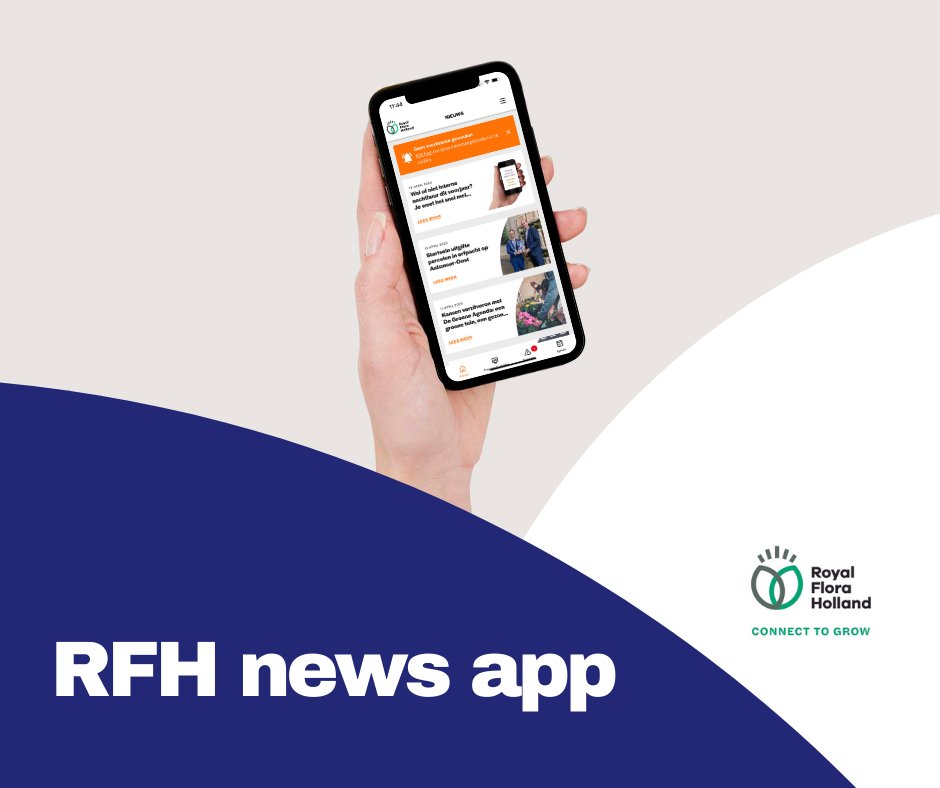 Wil jij het laatste nieuws en belangrijke informatie van Royal FloraHolland altijd bij de hand hebben? Download dan de RFH news App. We houden je graag op de hoogte! Download nu: royalfloraholland.com/royal-florahol…