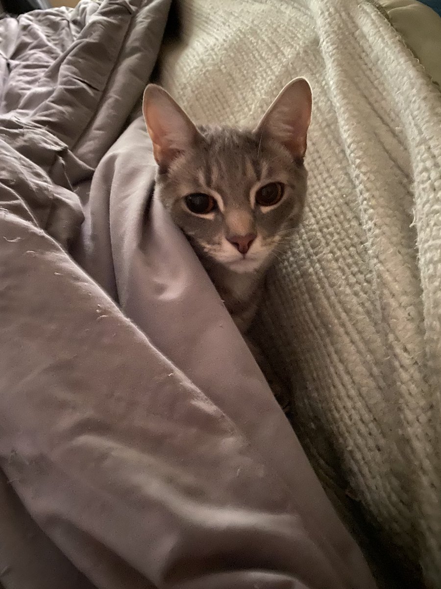 Mary Dunbar tweet media