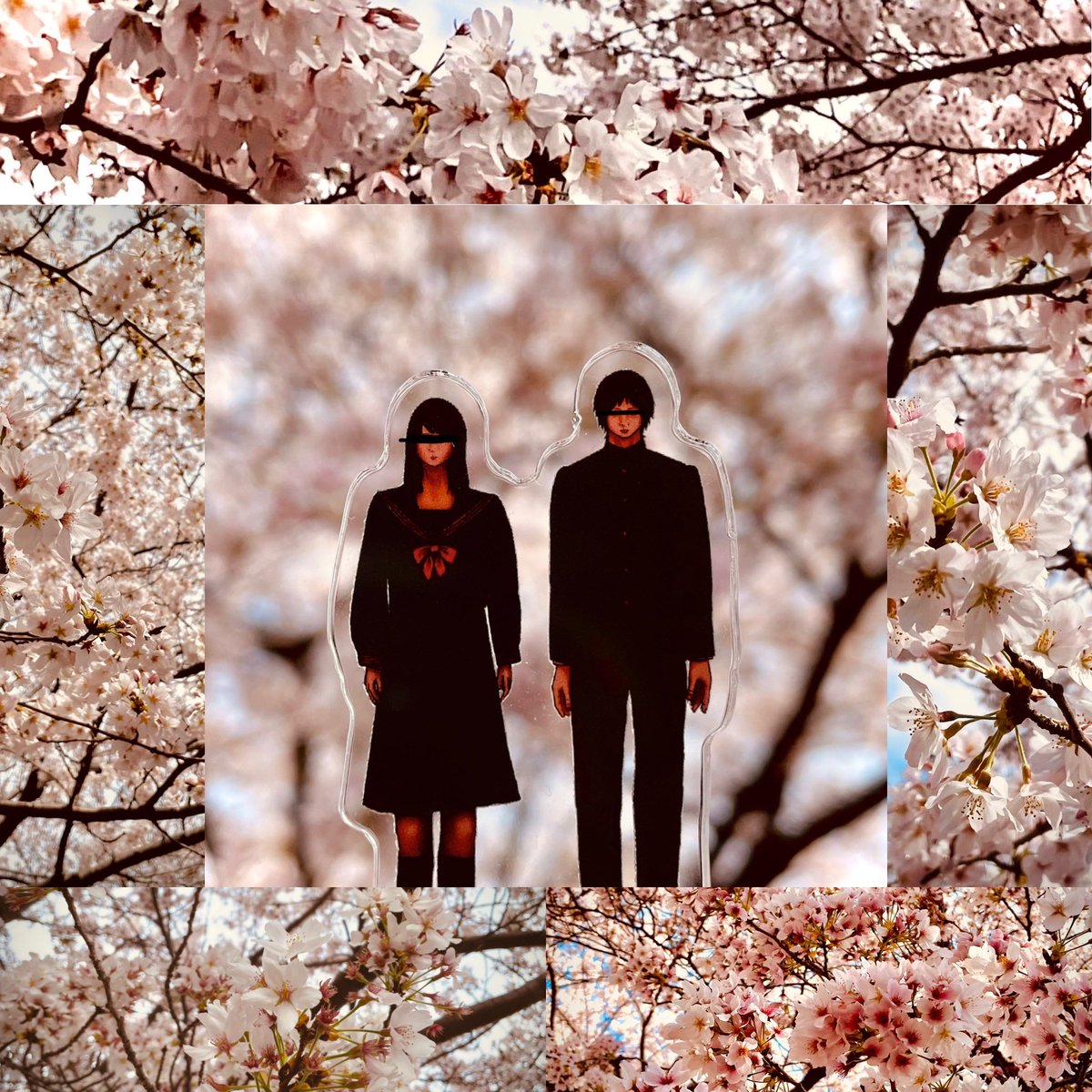 『LAND OF MELANCHOLY』

#ニトログリセリン #melancholy #桜 #cherryblossom