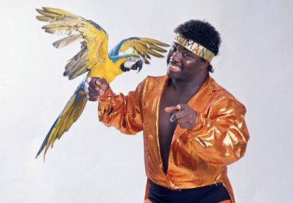 Happy Birthday to the one and only Koko B. Ware today!