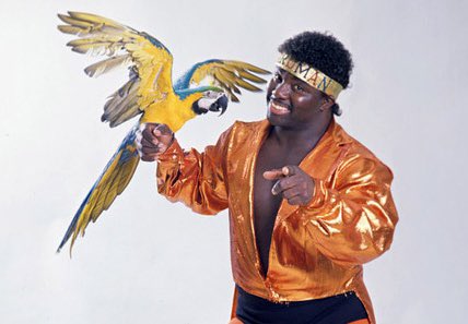 Happy Birthday to the one and only Koko B. Ware today! 