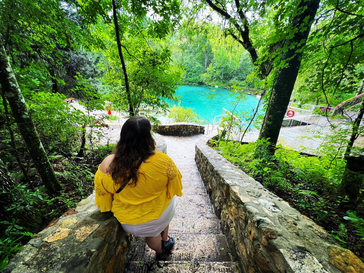 UnnamedAvocado's tweet photo. Blissful 💚 https://t.co/5WIGJrDvJv
