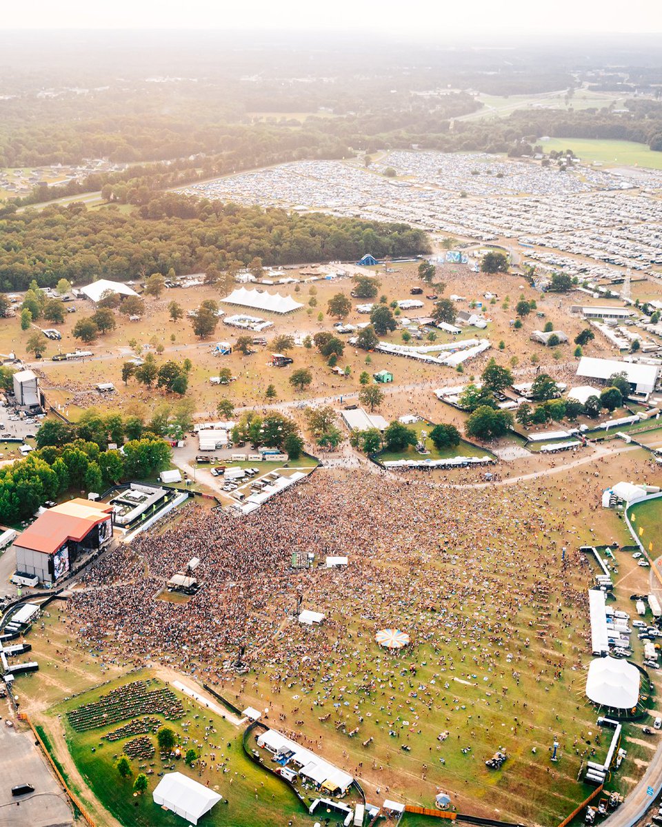 Bonnaroo tweet picture