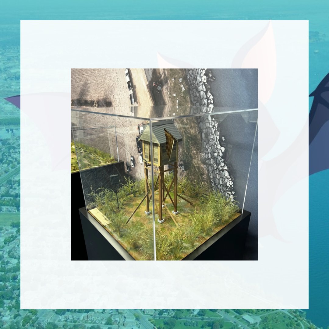 metropolisbleu tweet media