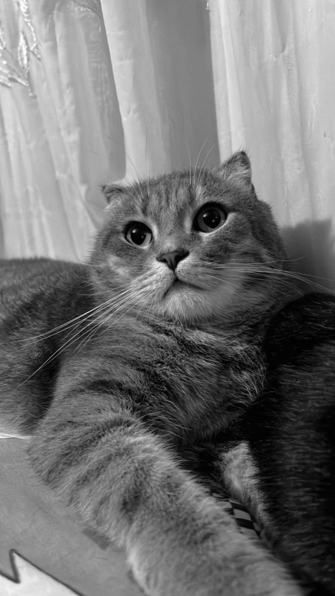 al oğlum tüm servetim senin olsun