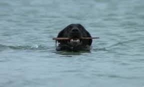 The Daily Jaws tweet media