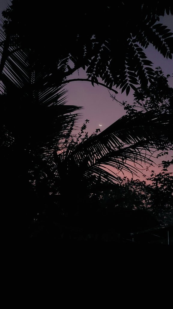 NikhaSab's tweet photo. Hues of Twilight❕️
How Magical &amp; Serene..Can't take off eyes😯🪄
#Twilight #Evening #Twilightstories #Hues #Colors #Selfclick #Favourite #Serene #Magical #beauty #wow #Love https://t.co/E4JdmMQZBm