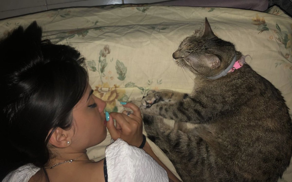 ✨Marika✨ tweet media