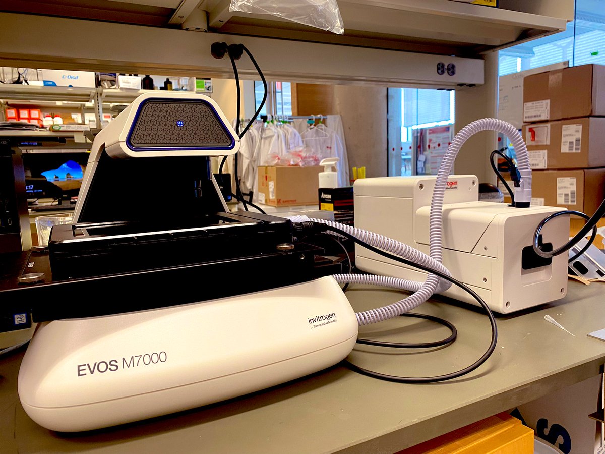 adamjmacneil's tweet photo. Say 👋 hello to our new little friend. #EVOSM7000 @thermofisher 
Thank you for the support @InnovationCA 🔬🧫🧬 #microscopes #MacNeilLab https://t.co/CNIwgNIXxl