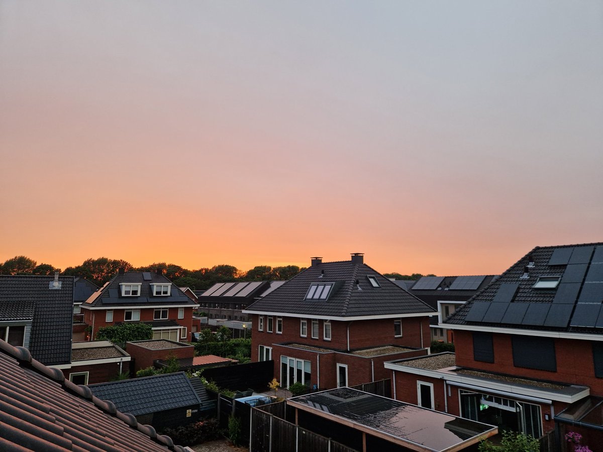 Monique Meijer ♡ tweet media